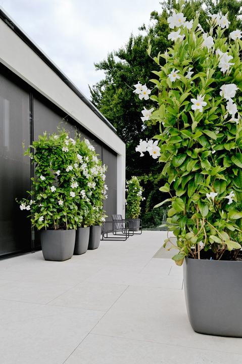 Immagine prodotto Eternit Osaka (90 cm)