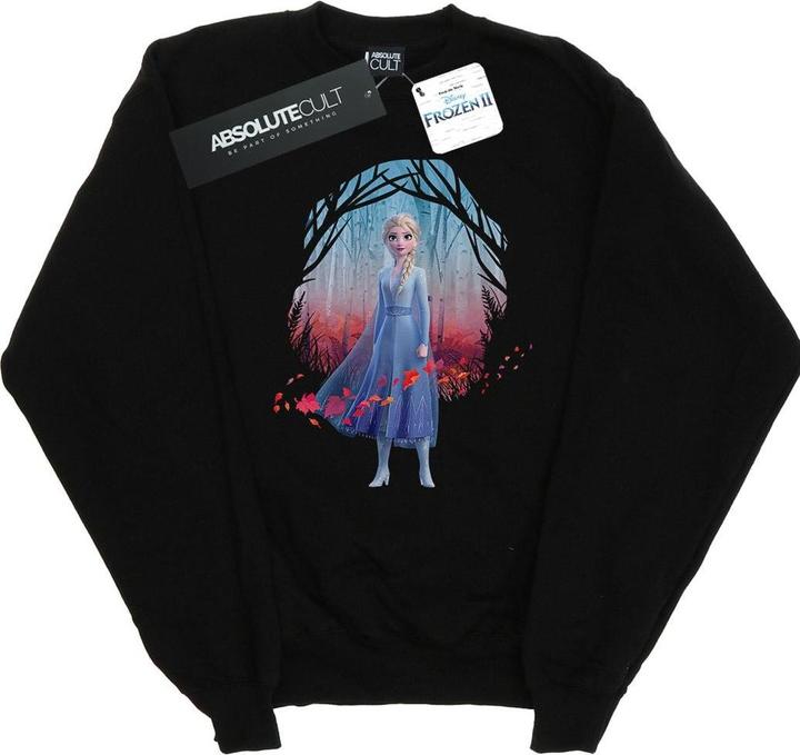 Image du produit Disney - Sweat FROZEN ELSA FIND THE WAY - Homme (XL)