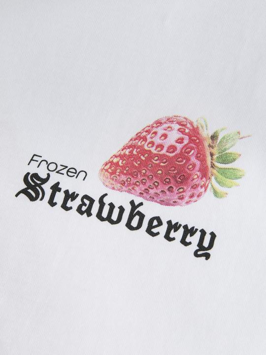 Produktbild Jack & Jones Jorbradley Fruits Tee Ss C.N Stmss25 (XXL)