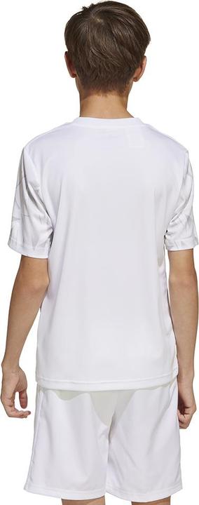 Actual product image adidas Team Icon 25 Jersey Kids (164)
