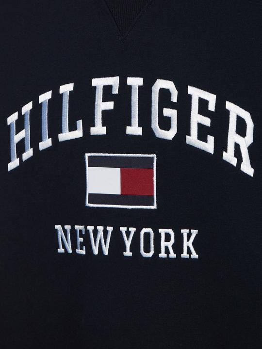 Immagine prodotto Tommy Hilfiger Felpa Modern Varsity Uomo, Desert Sky, L (L)