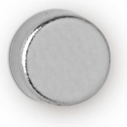 Actual product image Maul Disc magnet (10 x)