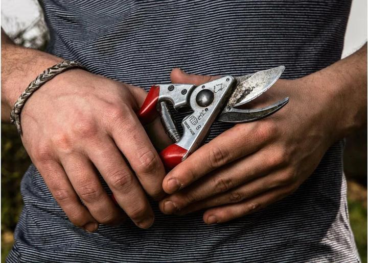 Image du produit Felco 8