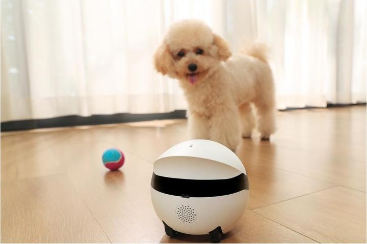 Actual product image Enabot Rola Mini Companion Robot (2304 x 1296 Pixels)