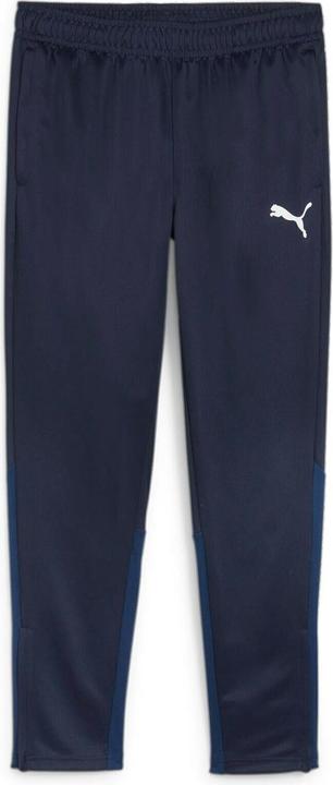 Puma teamGOAL Training Pant