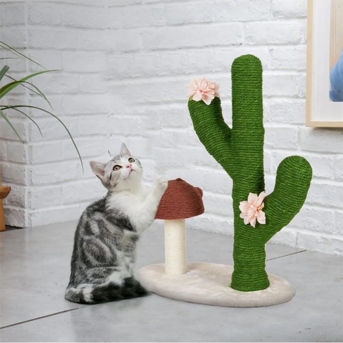 Actual product image Hermex Katzenkratzbaum Kaktus inklusive Pilz mit Sisal-Seil (72 cm, Green, Brown, Beige)