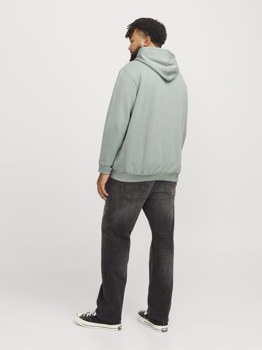 Produktbild Jack & Jones Jjebradley Sweat Hood Noos Pls (XXL)