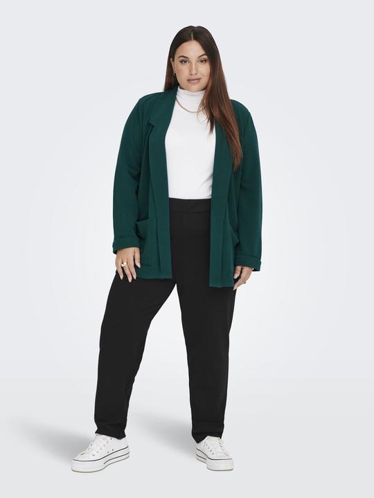 Immagine prodotto Only Blazer Curvy aperto sul davanti (54)