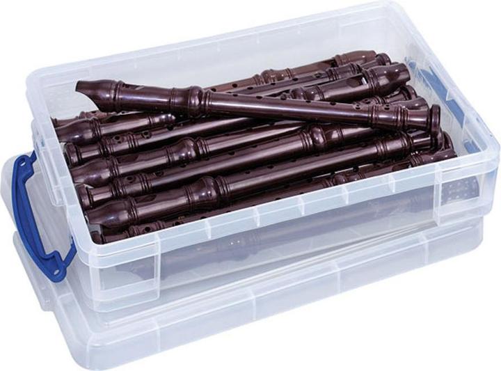 Actual product image Betzold Musik Group set of 15 plastic recorders (Fipple pipe)