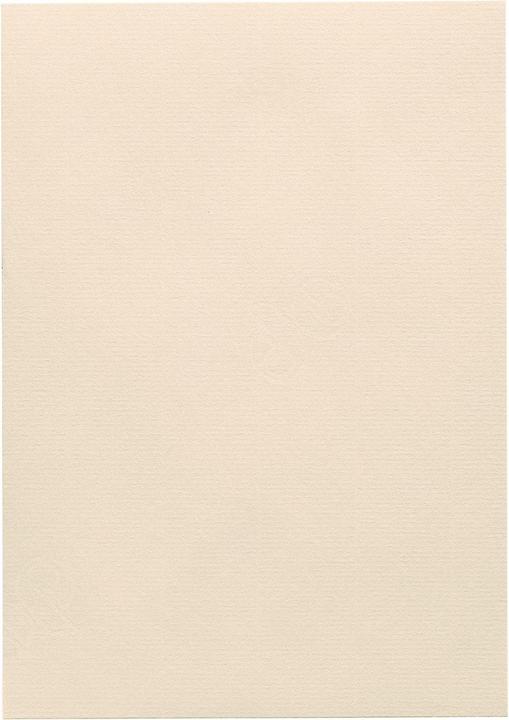 Image du produit Artoz 1001 A4 220g ivoire 5 boîtes (220 g/m², 5 x)