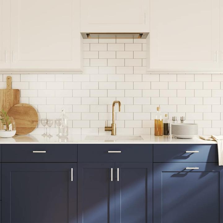 Produktbild VidaXL Möbelgriffe 10 Stk. Silbern 64 mm Edelstahl,Farbe