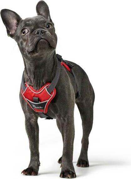Actual product image Hunter Divo tableware (XS, Dog, General)
