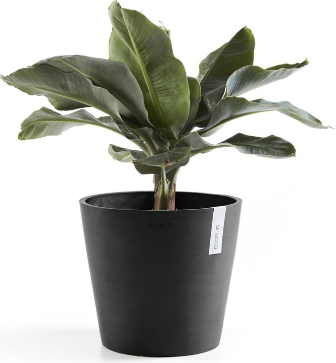 Actual product image Ecopots Amsterdam + Water reservoir (30 cm)