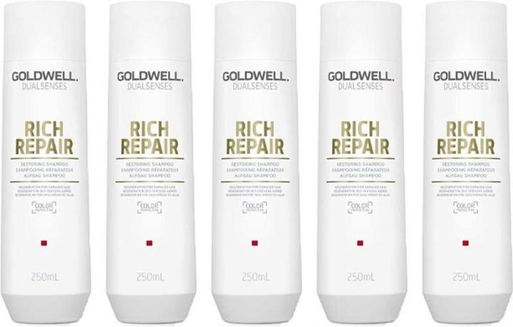 Goldwell 10x Dualsensenses Rich Repair Restoring Shampoo 250ml (250 ml)