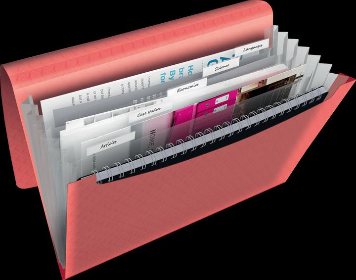 Actual product image Esselte Project File Colour'Breeze (A4, 1 x)