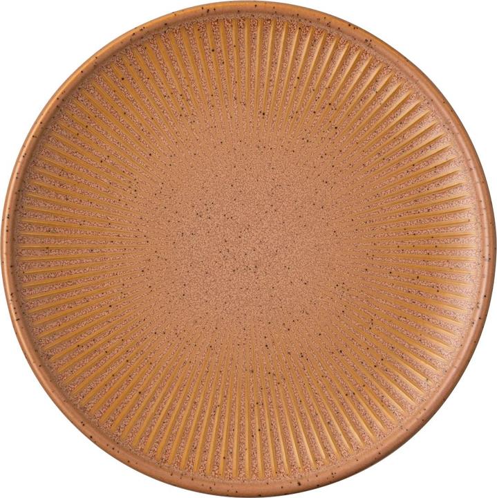 Actual product image Thomas Plate flat Earth (1 x, 16.60 cm)