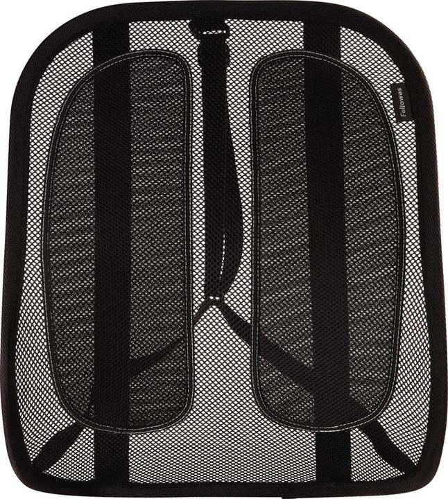 Actual product image Fellowes Back support