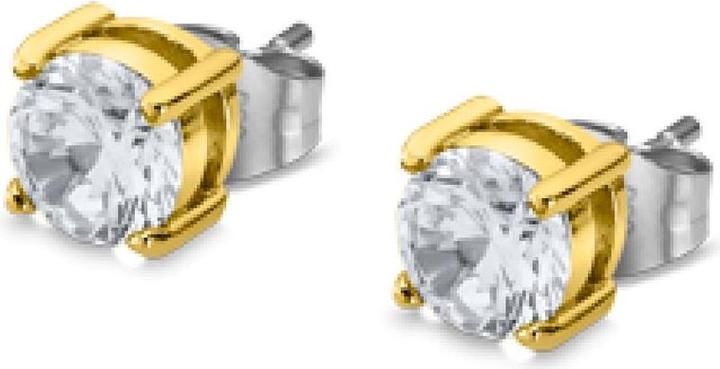 Actual product image Lotus Style LS2167-4/3 Earrings (Stainless steel)