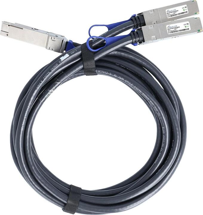 Actual product image BlueLAN Mellanox MCP7H50-H002R26 Compatible Breakout DAC QSFP-DD/2xQSFP28 BL292801W2M26