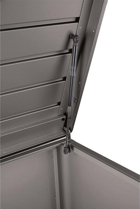 Immagine prodotto Biohort FreizeitBox 160, grigio scuro metallizzato