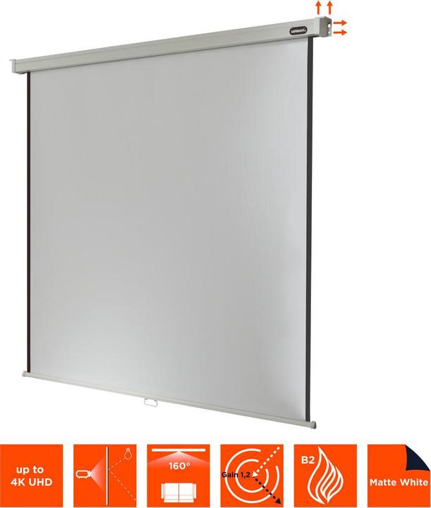 Actual product image Celexon Professional manual - screen - ceiling mounting possible, suitable for wall mounting (64.17", 16:9)