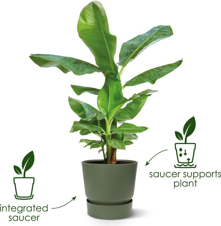 Actual product image Elho flowerpots (29.50 cm)