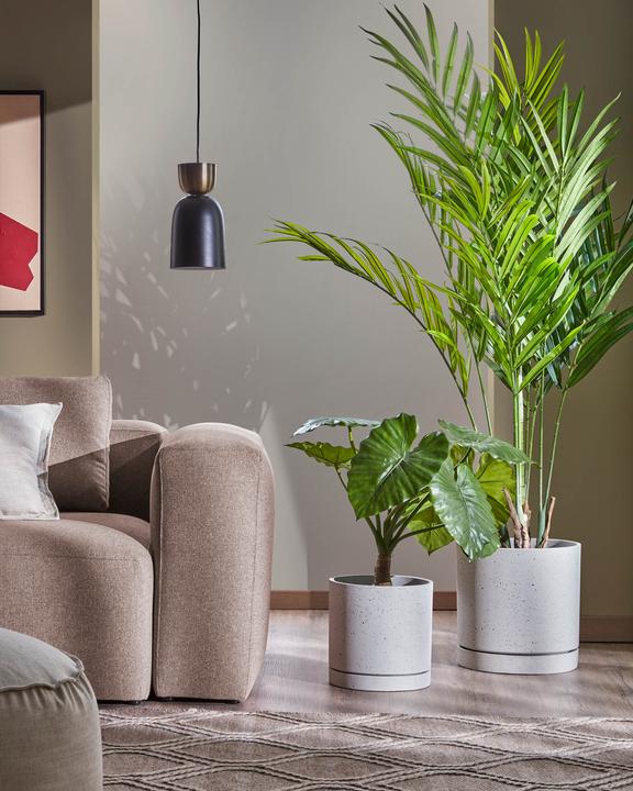 Image du produit Kave Home Palmera (180 cm)