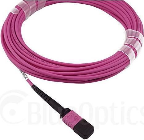 BlueOptics Lenovo AV2A kompatibles MPO-MPO Multimode OM4 Patchkabel 30 Meter (U/UTP, CAT6, 30 m)