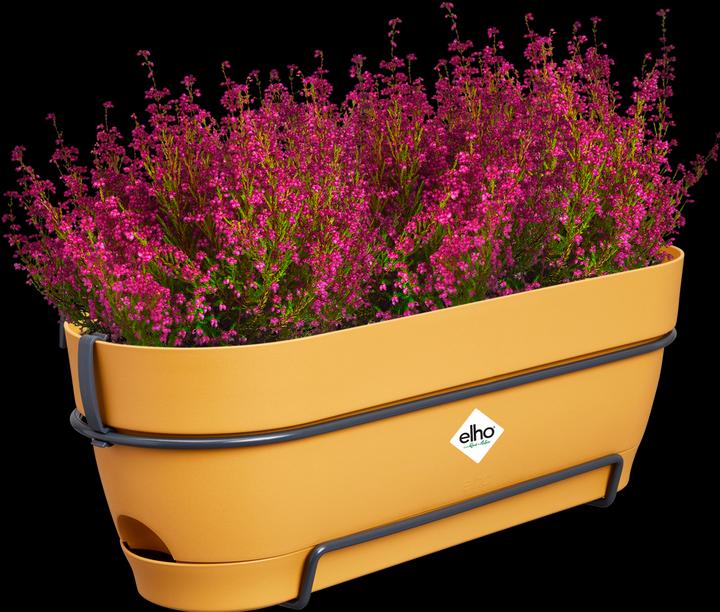 Actual product image Elho Vibia Campana Balcony Box Allin1 (26 cm)
