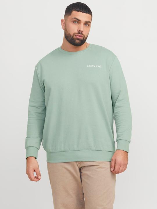 Actual product image Jack & Jones Plus Size Printed Sweatshirt Sweatshirt (6XL)