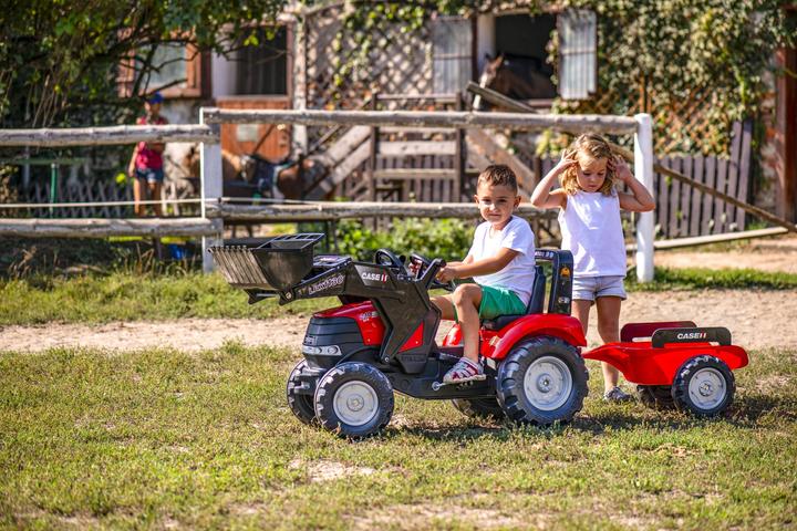 Produktbild Falquet & Cie Baggerlader Case IH