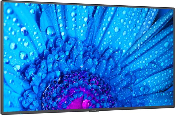 NEC M981 98IN M SERIES LARGE FORMAT (3840 x 2160 Pixel, 98")