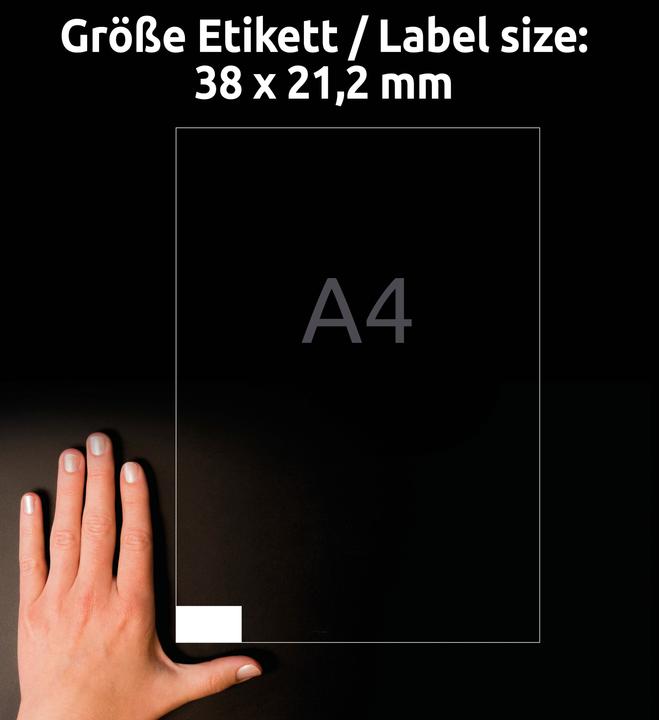 Image du produit Avery Universel