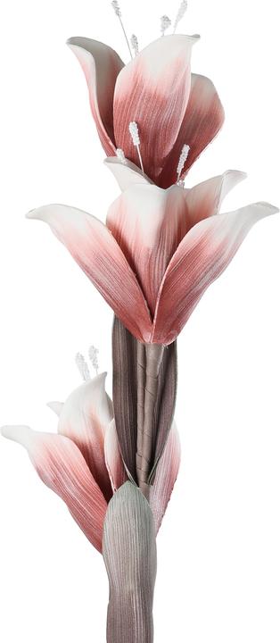 Actual product image EGLO LIVING Molave (85 cm)