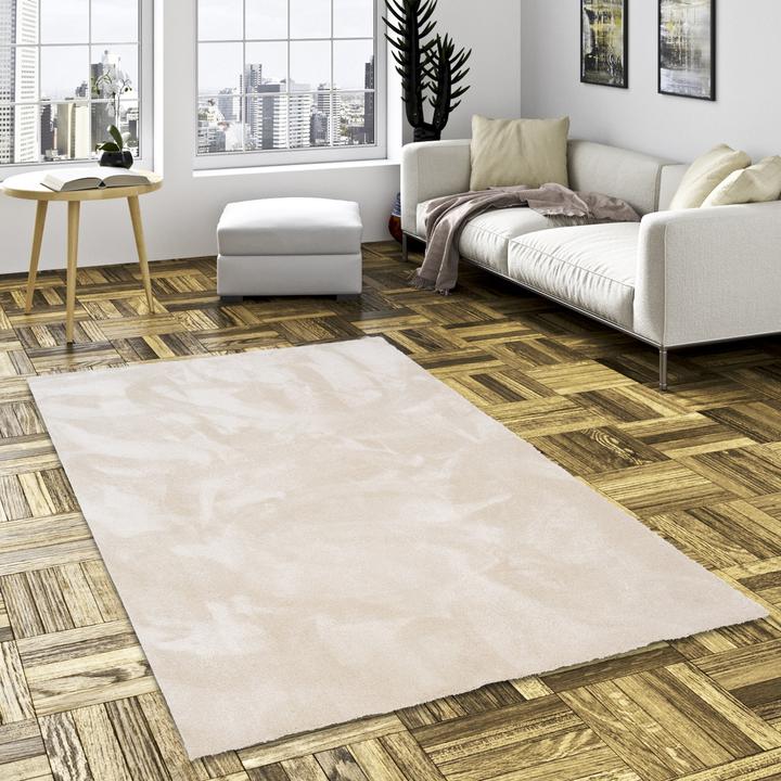 Immagine prodotto Snapstyle Super Soft Hochflorteppich Livorno (100 x 300 cm)