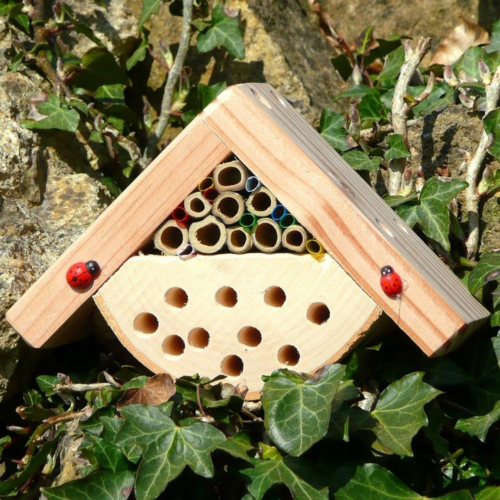 Produktbild Wildlife World Minibug (Wildbienen, Marienkäfer)