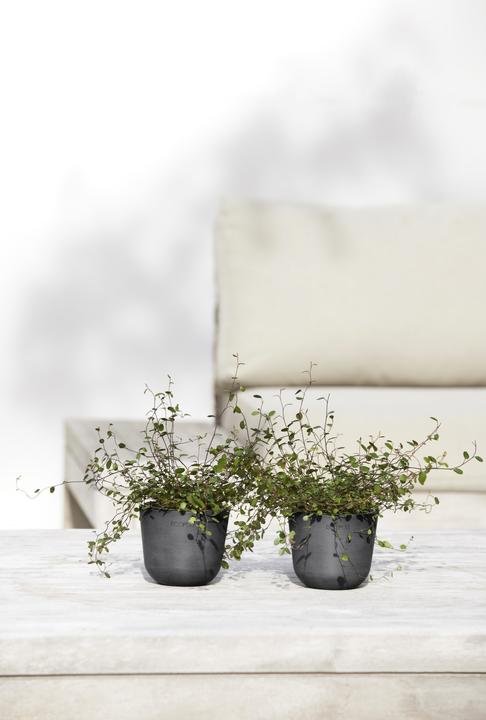 Produktbild Ecopots Oslo Mini (11.50 cm)