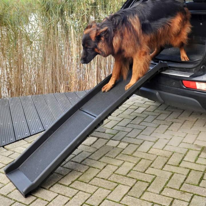 Immagine prodotto ProPlus Rampa per cani (Cane, Pieghevole)