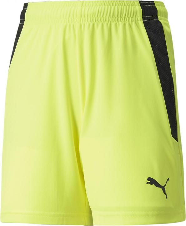 Image du produit Puma short teamLIGA Jr-704931 (128)