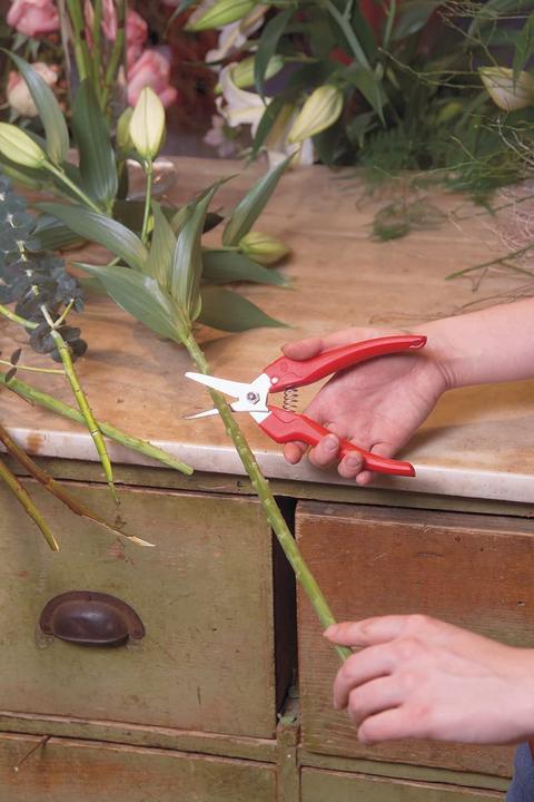 Actual product image Felco flower/fruit scissors