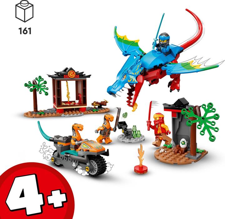 Image du produit LEGO Temple du Dragon (71759, LEGO Ninjago)