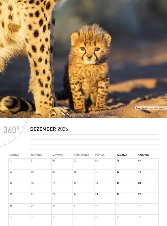 Produktbild NamibiaBroschürenkalender2026 (Deutsch)