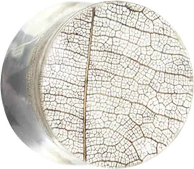 Produktbild Star Piercing Flared Plug Herbstblatt Epoxy transparent (ohne Messing, Organisch)