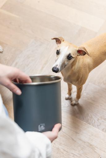 Actual product image Designed by Lotte Feed bin Canisto