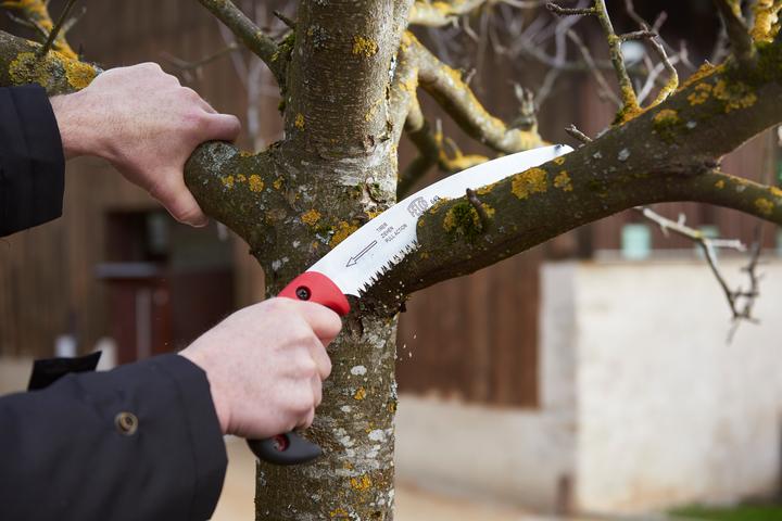 Immagine prodotto Felco Sega per alberi 640