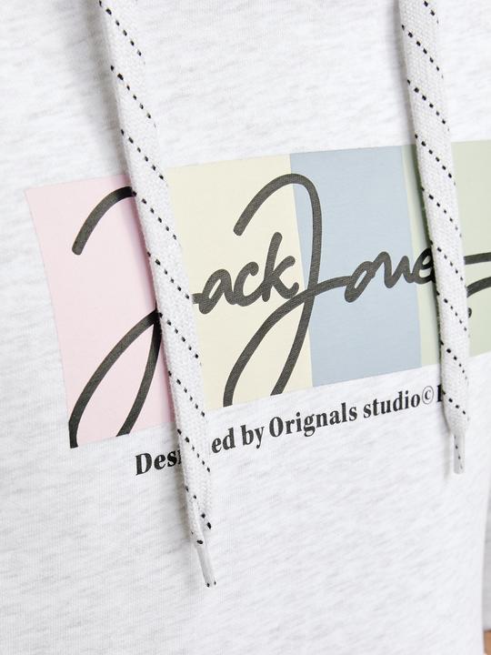 Produktbild Jack & Jones Jorportland Block Sweat Hood Ln (XL)