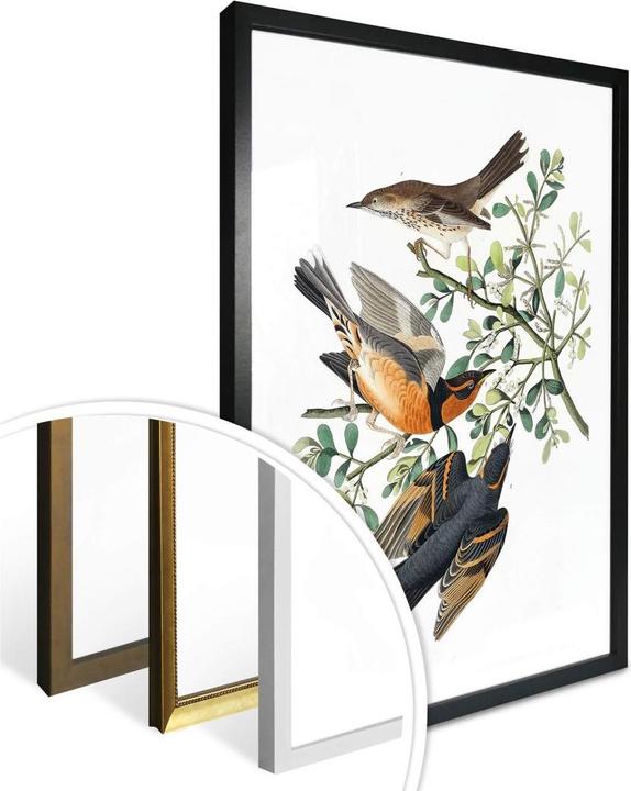 Immagine prodotto Trenddeko Tre strozzatori (24 x 30 cm)