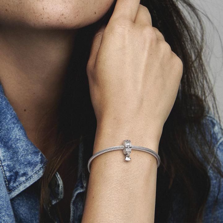 Actual product image Pandora Family Forever (Silver 925)