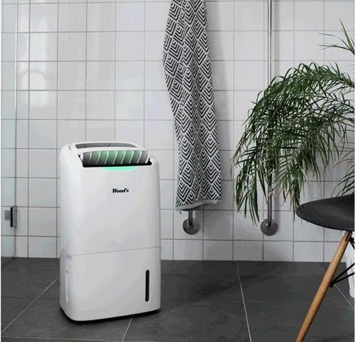 Actual product image Wood's Ad20 (100 m², 22 l/24h)