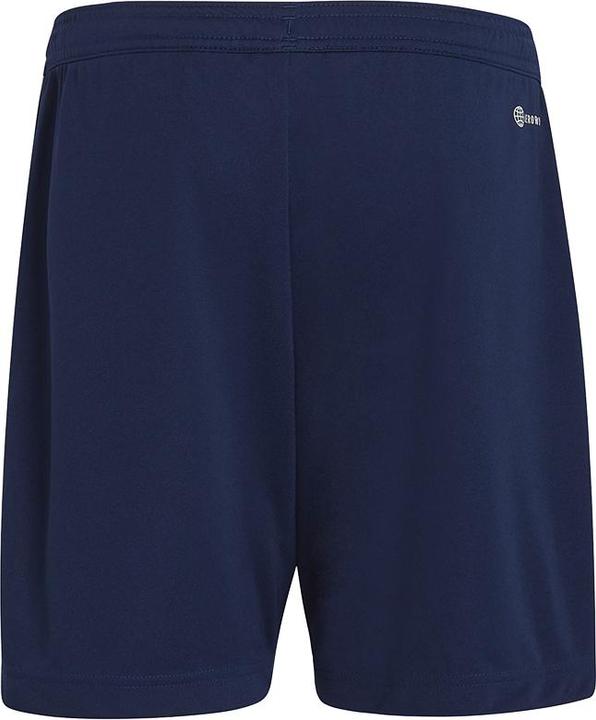 Actual product image adidas Entrada 22 training shorts kids (152)